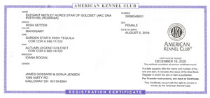 AKC Registration Certificate of Elegant Motley Acres Star Of Goldset (Romania)
	-Ellie